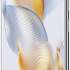 HONOR 90 12/512Gb 5G Полночный черный
