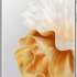 HUAWEI P60 Pro 8/256Gb Жемчужина рококо