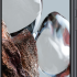 Xiaomi 12T 8/256GB Чёрный