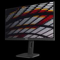 AOC Монитор 23.8" 24P1 IPS, 1920x1080 (16:9), 250кд/м2, 5мс, VGA, DVI, HDMI, DisplayPort, USB-Hub, черный