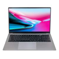 Ноутбук Hiper Expertbook MTL1601 noOS silver (MTL1601A1235UDS)
